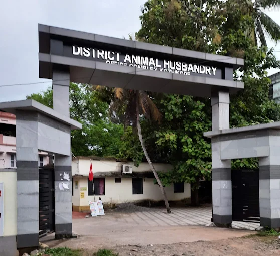 District Animal Husbandry Office
